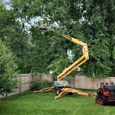 Best Tree and Shrub Care  in Glouster, OH