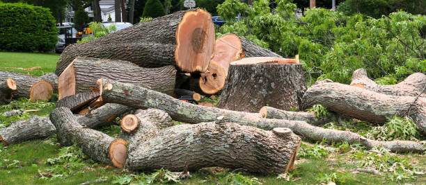 Best Arborist Consultation Services  in Glouster, OH