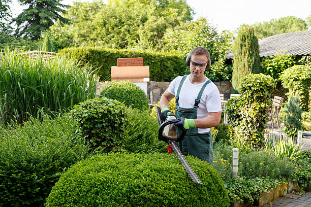 Best Lawn Watering Services  in Glouster, OH